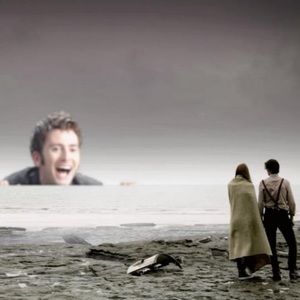 Meet your Posher, Peter